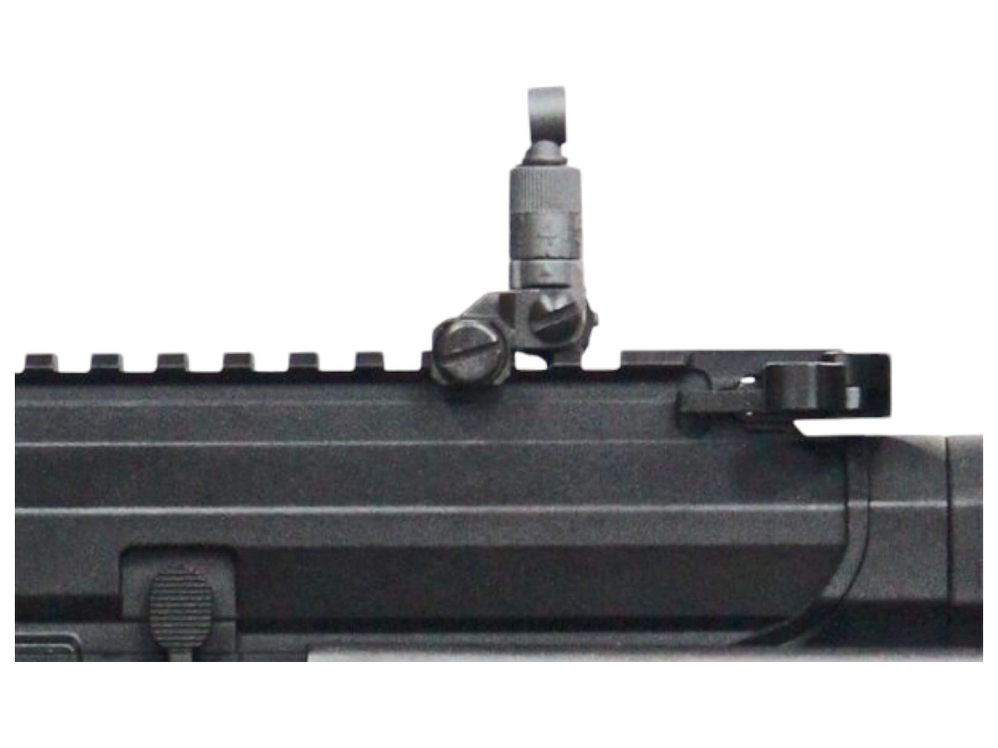 G&G ARP 556