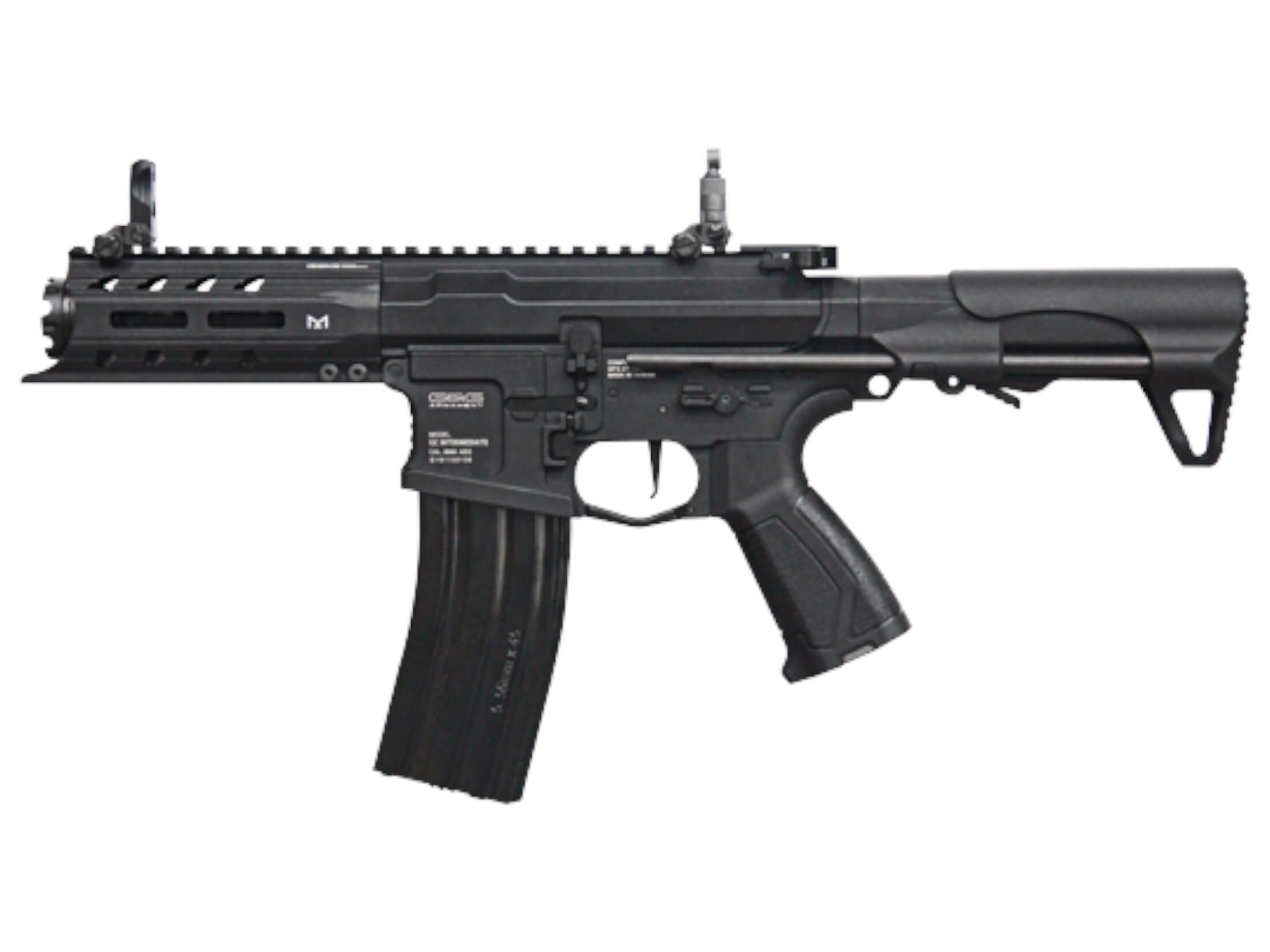 G&G ARP 556 – Unit 1 Airsoft